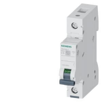 5SL6110-7 Miniature circuit breaker 230/400 V 6kA, 1-pole, C, 10 A