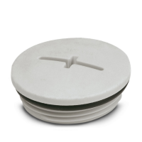 A-INSP-M32-68N-P-LG Screw plug