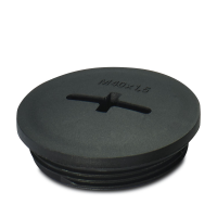A-INSP-M40-65N-P-BK Screw plug