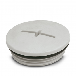 A-INSP-M40-68N-P-LG Screw plug