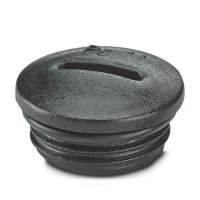 A-INSP-PG11-65N-P-BK Screw plug