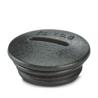 A-INSP-PG13-65N-P-BK Screw plug