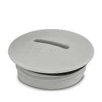A-INSP-PG16-65N-P-LG Screw plug