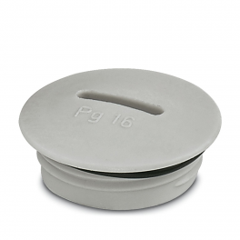 A-INSP-PG21-65N-P-LG Screw plug