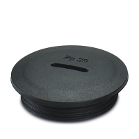A-INSP-PG29-65N-P-BK Screw plug