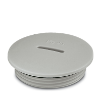 A-INSP-PG29-65N-P-LG Screw plug