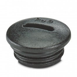 A-INSP-PG9-65N-P-BK Screw plug