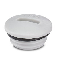A-INSP-PG9-65N-P-LG Screw plug