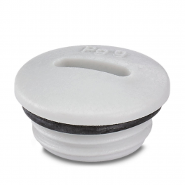 A-INSP-PG9-65N-P-LG Screw plug