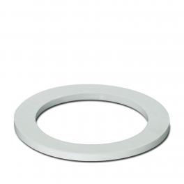 A-SEW-20-P-W Flat gasket