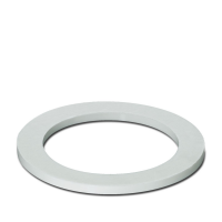 A-SEW-32-P-W Flat gasket