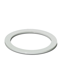 A-SEW-63-P-W Flat gasket