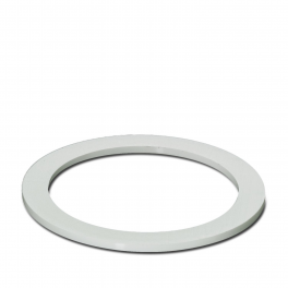 A-SEW-63-P-W Flat gasket