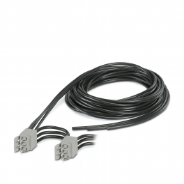 BRIDGE-PT  6