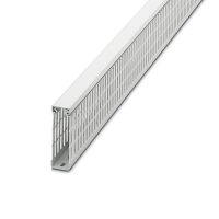 CD 30X100 WH Cable duct