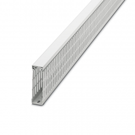 CD 30X100 WH Cable duct