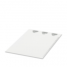 ESL 60X10 Insert strip