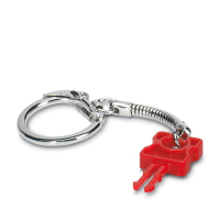 FL PATCH GUARD KEY Key
