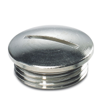 HC-BS-PG13 Screw plug