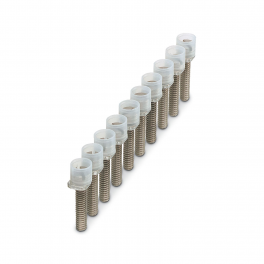 ISSBI  10- 8 Bridge