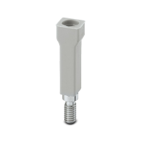 LB  SCHRAUBE MIT ISOL. GY Bridge screw