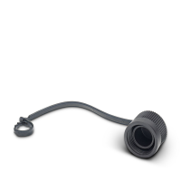 PROT-MINFS-PA-CHAIN Sealing cap