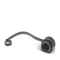 PROT-MINMS-PA-CHAIN Screw plug