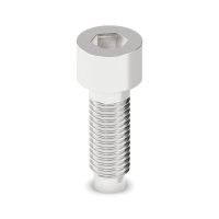 SCM10-150 FE 16 / 30 IH8 Screw