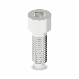 SCM10-150 FE 16 / 30 IH8 Screw