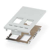 VS-SI-FP-2RJ-MOD Front plate