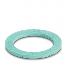 WP-FS HF IP68 M20 Flat gasket