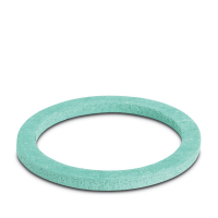 WP-FS HF IP68 PG29 Flat gasket