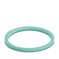 WP-FS HF IP68 PG36 Flat gasket