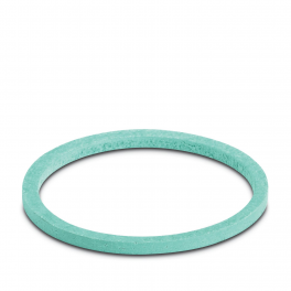 WP-FS HF IP68 PG36 Flat gasket