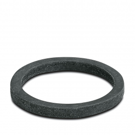 WP-FS IP68 PG21 Flat gasket