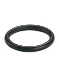 WP-OR PG11 Sealing ring