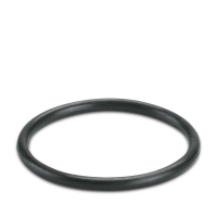 WP-OR PG21 Sealing ring