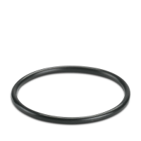 WP-OR PG29 Sealing ring