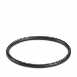 WP-OR PG29 Sealing ring