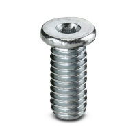 ZKS M6X12 SW 3,0 Screw