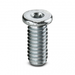 ZKS M6X12 SW 3,0 Screw